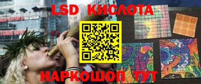 амф Кандалакша