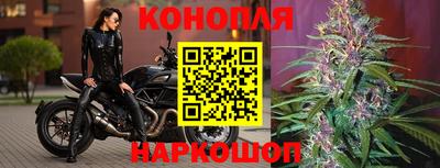 ECSTASY Канаш