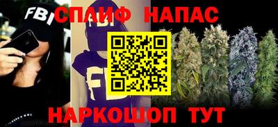 амф Кандалакша
