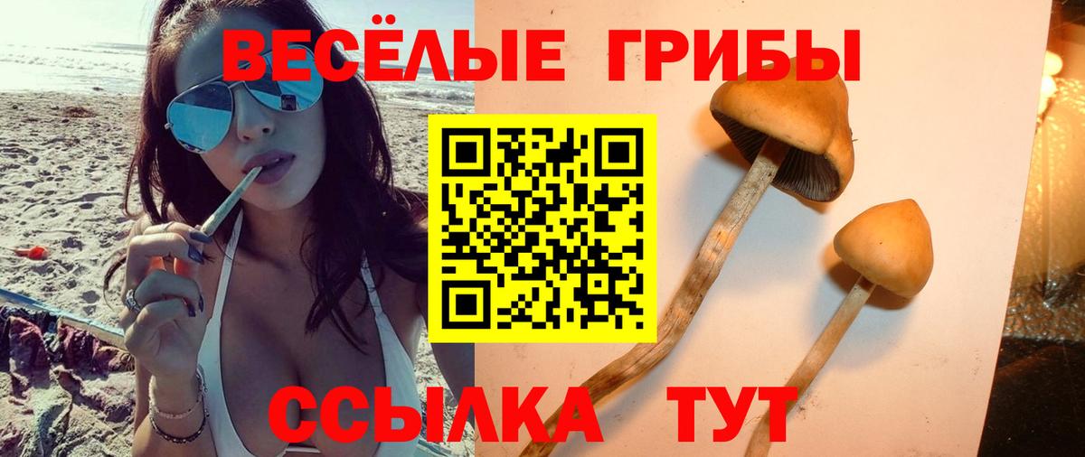 Галлюциногенные грибы Cubensis Красноуфимск